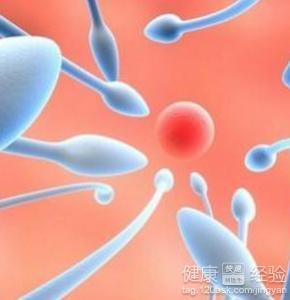 男人正常精子图片,正常形态与活力解析  第2张