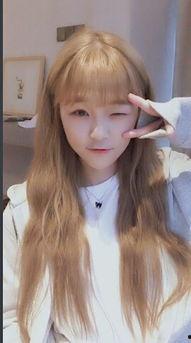 橘公司个人资料,揭秘个人资料背后的商业奥秘