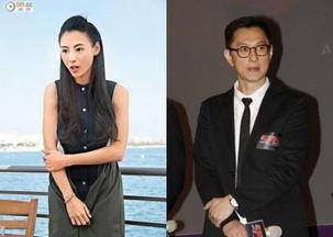 叶伟信八卦,揭秘影视圈背后的八卦风云  第3张