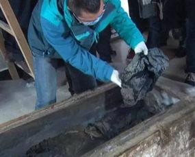 女尸墓图片  第2张